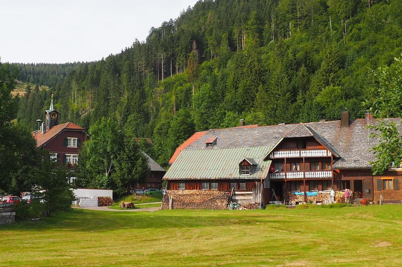 Ferienwohnung Kuckucksnest FEWO für Familien bis 8 Personen keine Gruppen! St. Blasien Exterior foto