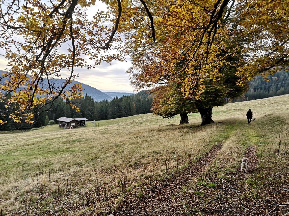 Ferienwohnung Kuckucksnest FEWO für Familien bis 8 Personen keine Gruppen! St. Blasien Exterior foto