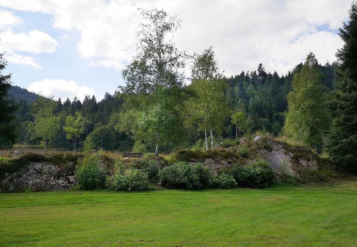 Ferienwohnung Kuckucksnest FEWO für Familien bis 8 Personen keine Gruppen! St. Blasien Exterior foto