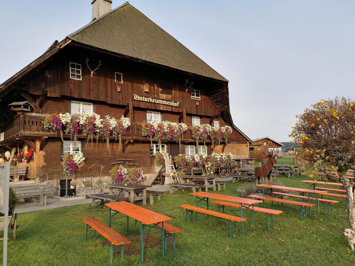 Ferienwohnung Kuckucksnest FEWO für Familien bis 8 Personen keine Gruppen! St. Blasien Exterior foto