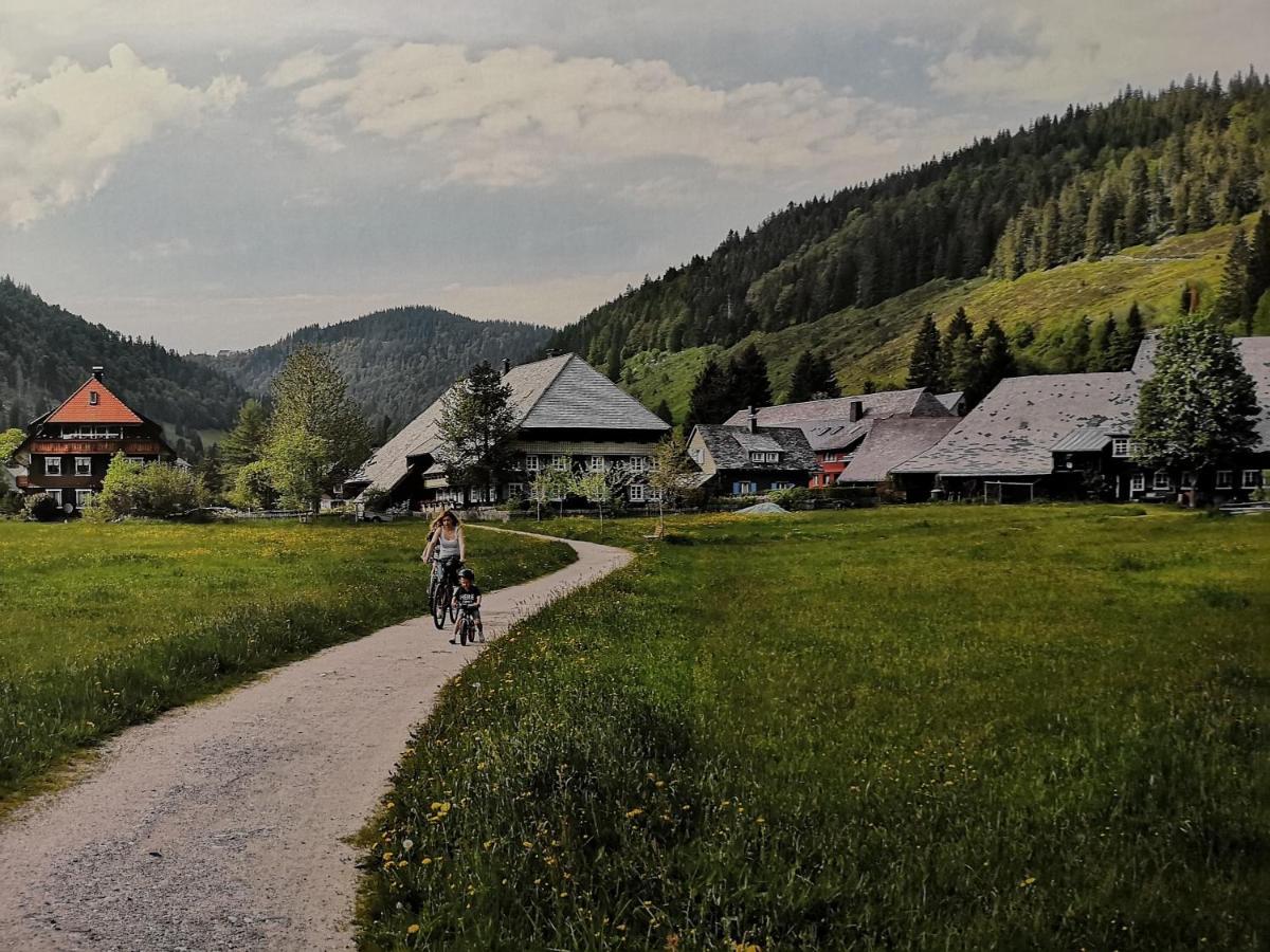 Ferienwohnung Kuckucksnest FEWO für Familien bis 8 Personen keine Gruppen! St. Blasien Exterior foto