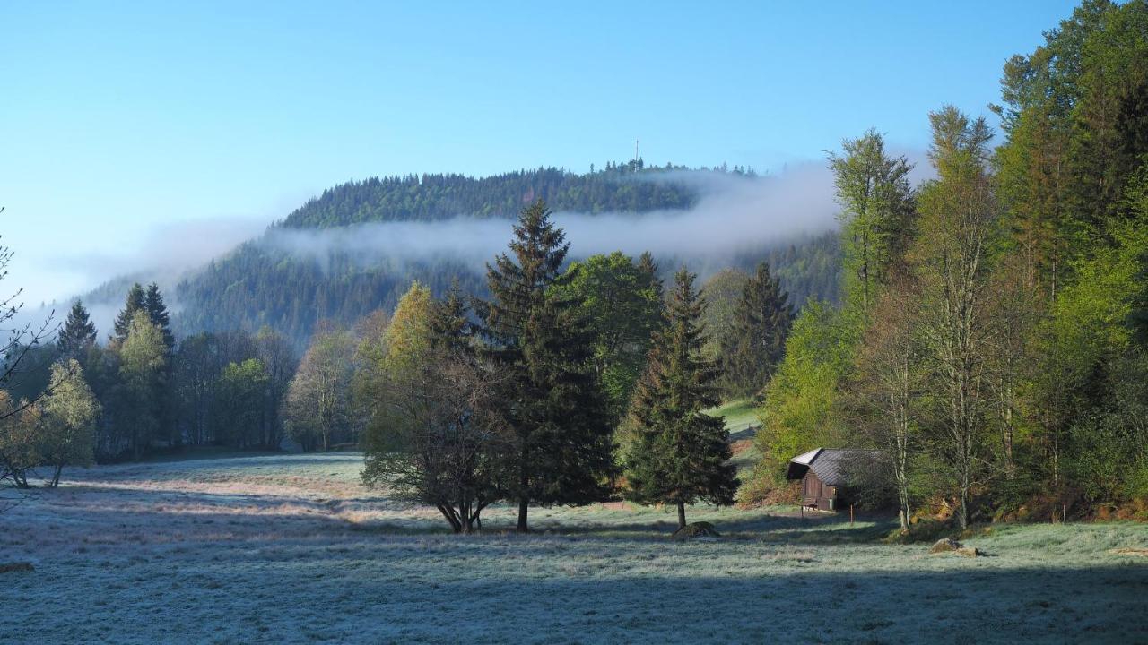 Ferienwohnung Kuckucksnest FEWO für Familien bis 8 Personen keine Gruppen! St. Blasien Exterior foto