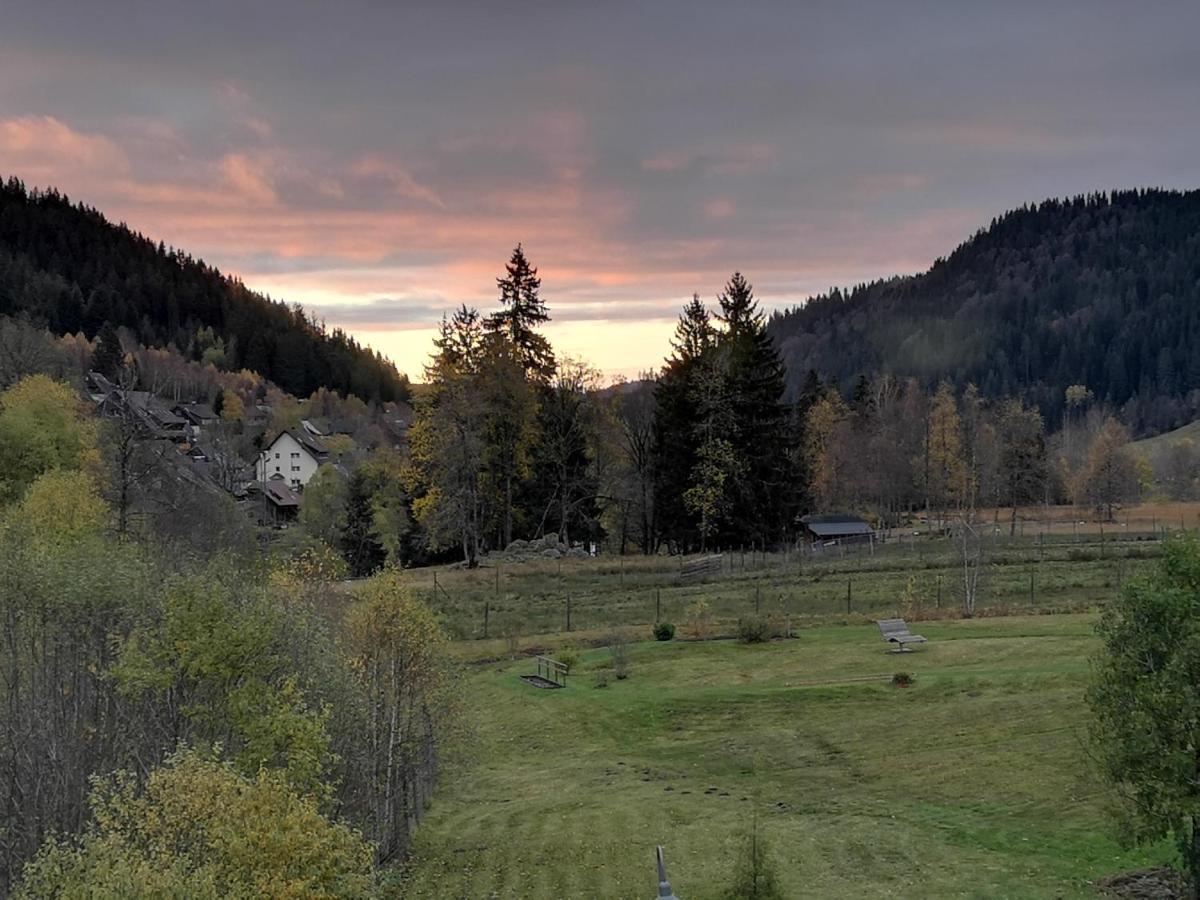 Ferienwohnung Kuckucksnest FEWO für Familien bis 8 Personen keine Gruppen! St. Blasien Exterior foto