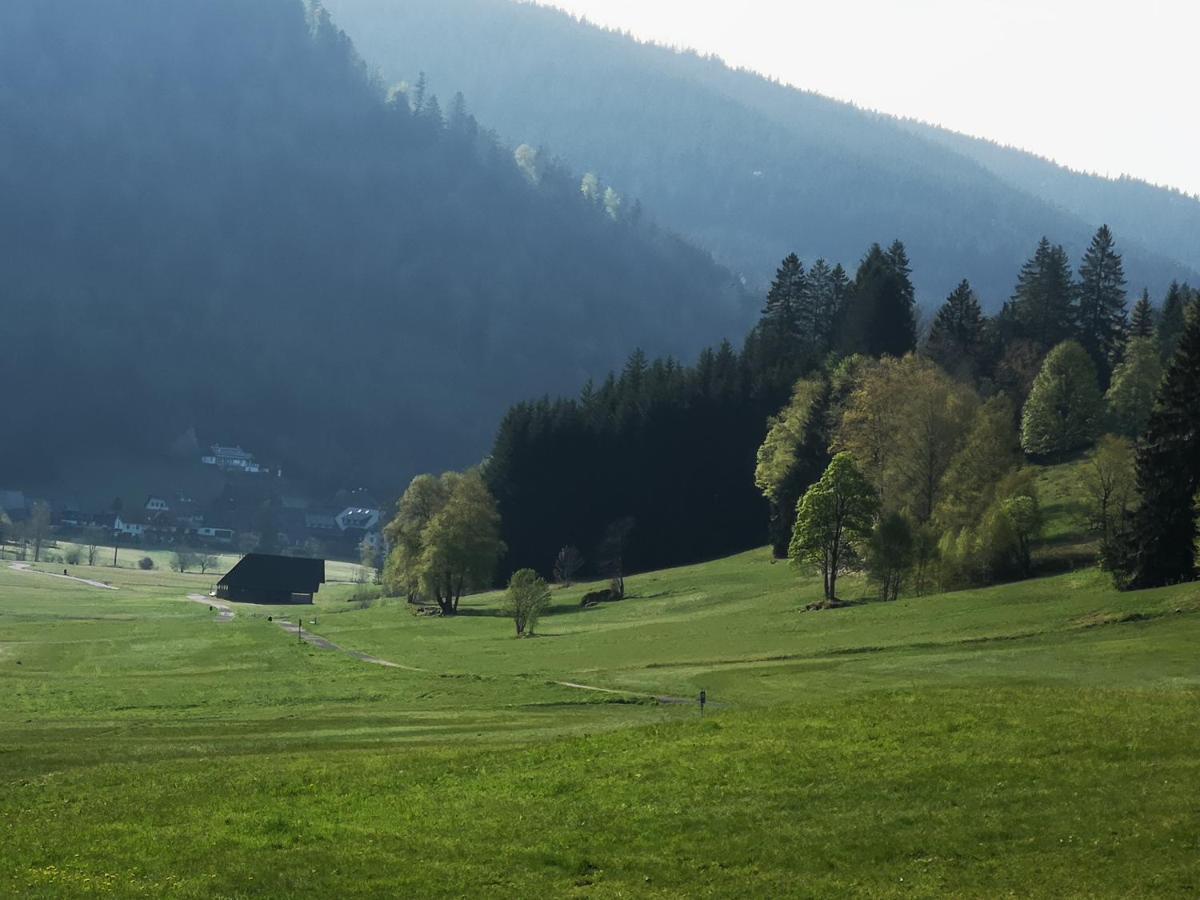 Ferienwohnung Kuckucksnest FEWO für Familien bis 8 Personen keine Gruppen! St. Blasien Exterior foto