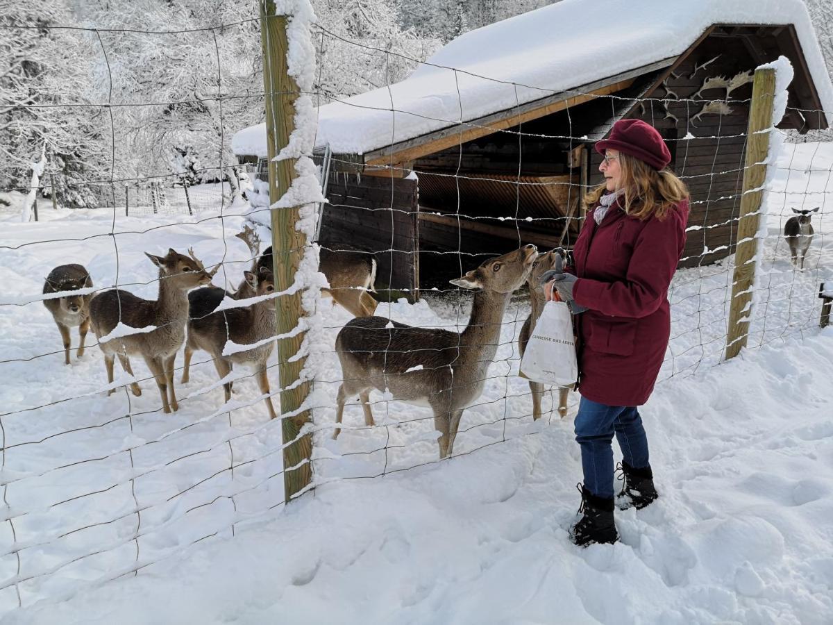 Ferienwohnung Kuckucksnest FEWO für Familien bis 8 Personen keine Gruppen! St. Blasien Exterior foto