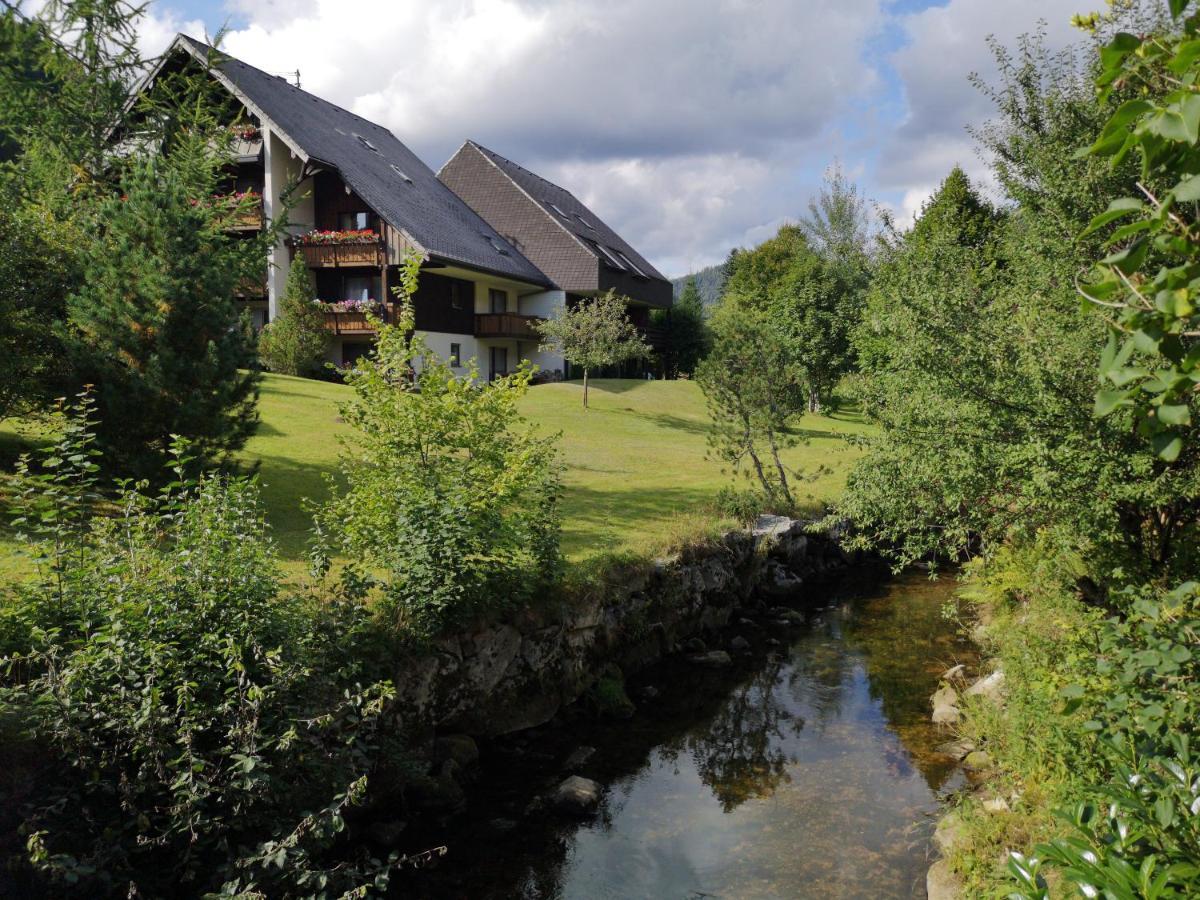 Ferienwohnung Kuckucksnest FEWO für Familien bis 8 Personen keine Gruppen! St. Blasien Exterior foto