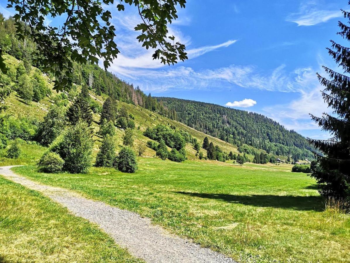 Ferienwohnung Kuckucksnest FEWO für Familien bis 8 Personen keine Gruppen! St. Blasien Exterior foto