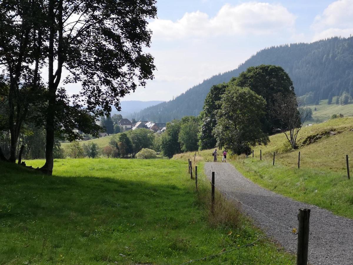 Ferienwohnung Kuckucksnest FEWO für Familien bis 8 Personen keine Gruppen! St. Blasien Exterior foto