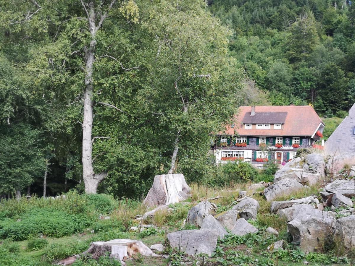 Ferienwohnung Kuckucksnest FEWO für Familien bis 8 Personen keine Gruppen! St. Blasien Exterior foto