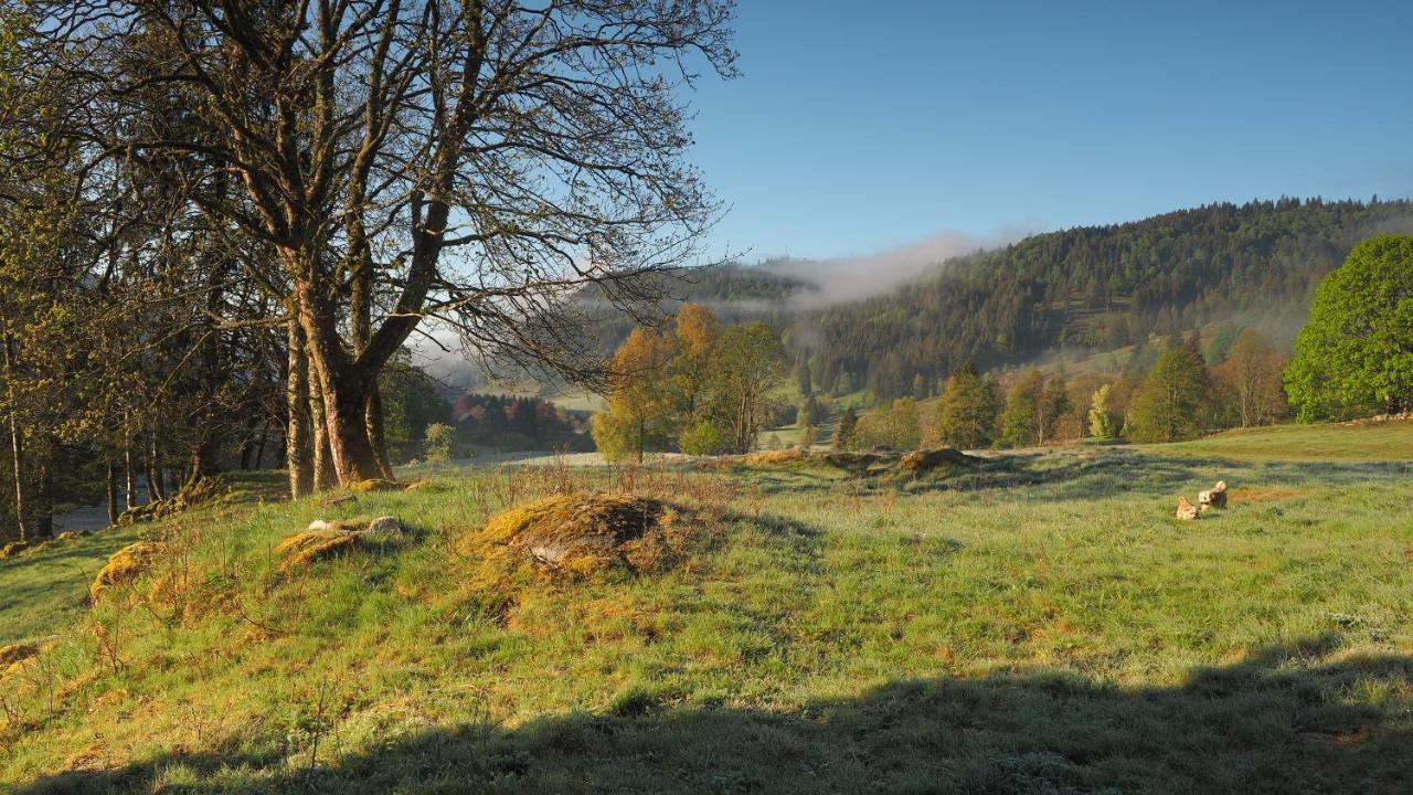 Ferienwohnung Kuckucksnest FEWO für Familien bis 8 Personen keine Gruppen! St. Blasien Exterior foto